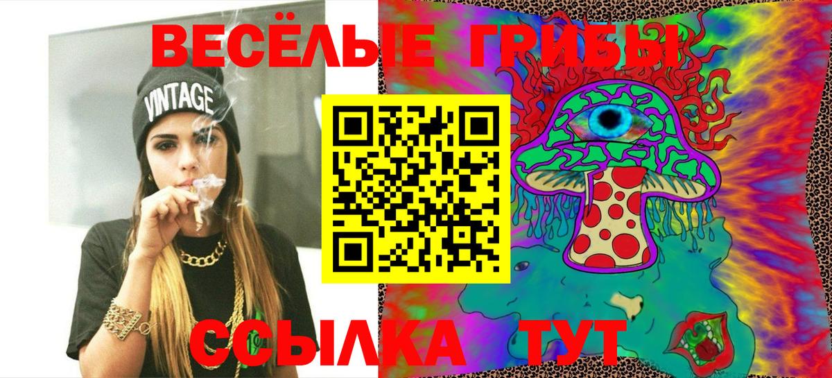 как найти наркотики  Псилоцибиновые грибы Magic Shrooms  Вход с VPN  Отрадный 