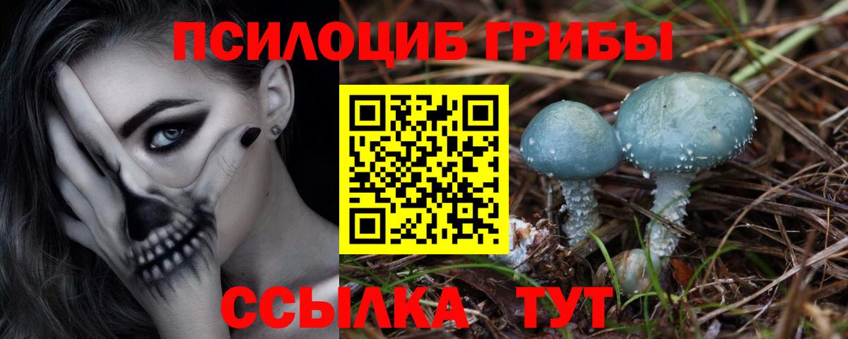 Галлюциногенные грибы Psilocybe Отрадный